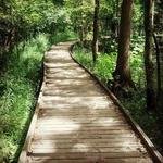 Wildwood Preserve MetroPark