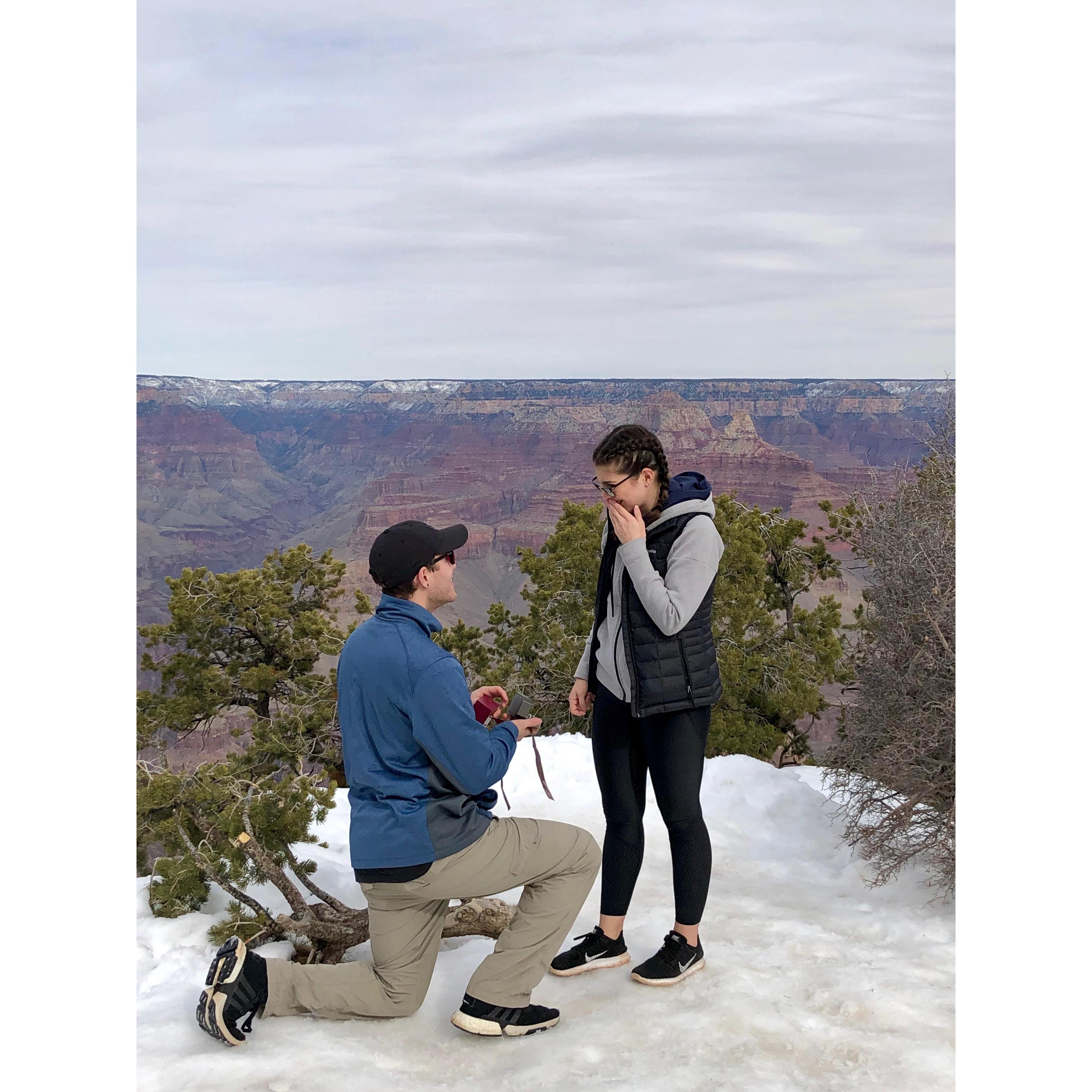 Will you marry me?