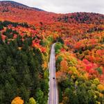 Leaf peeping