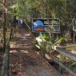 Hike a Nature Trail