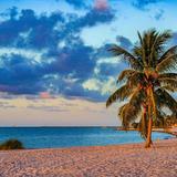 Beaches