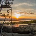 Red Hill Fire Tower Loop Trail