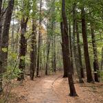 Rachel Carson National Wildlife Refuge
