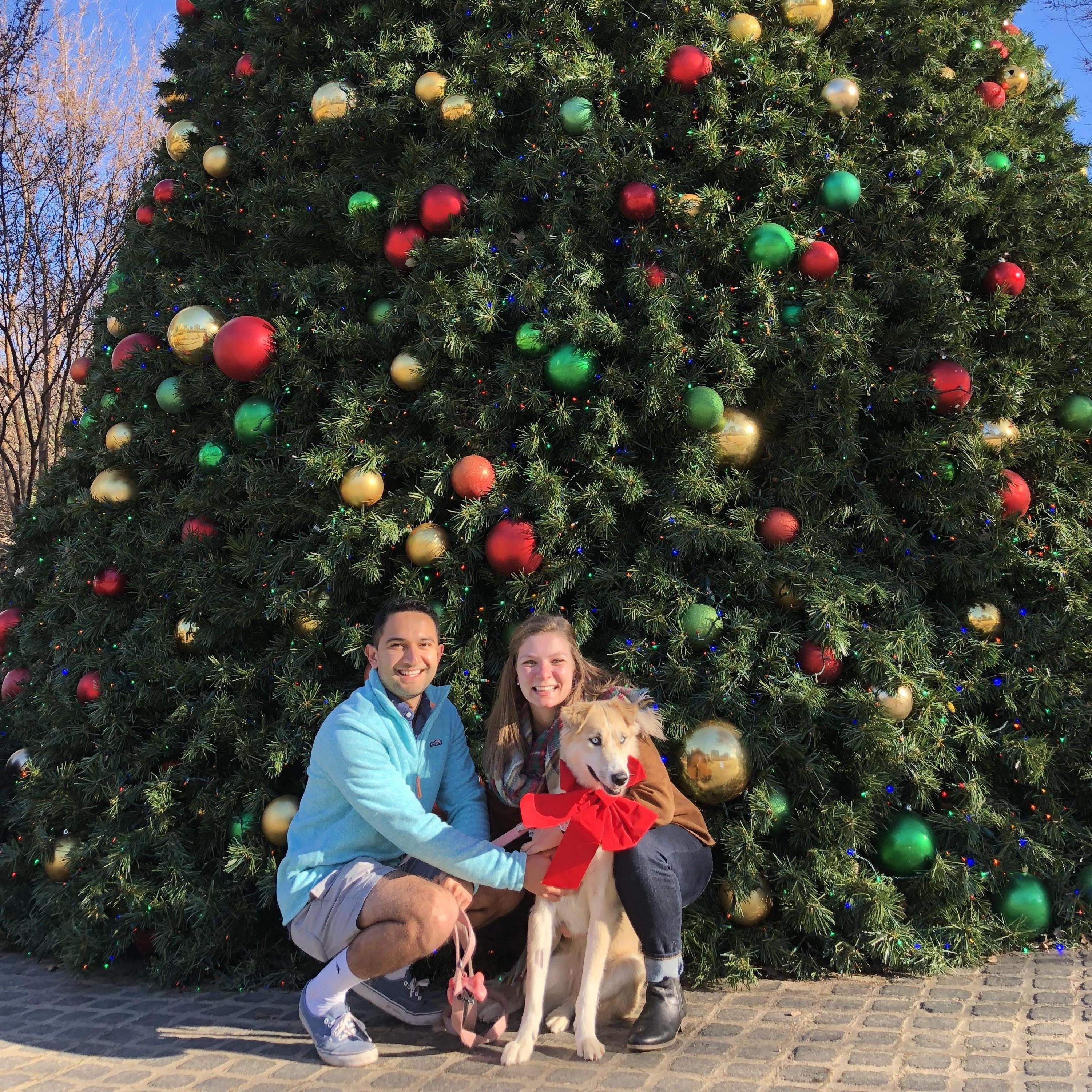 Dallas, TX Christmas