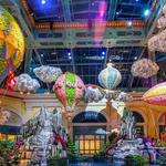 Bellagio Conservatory & Botanical Gardens