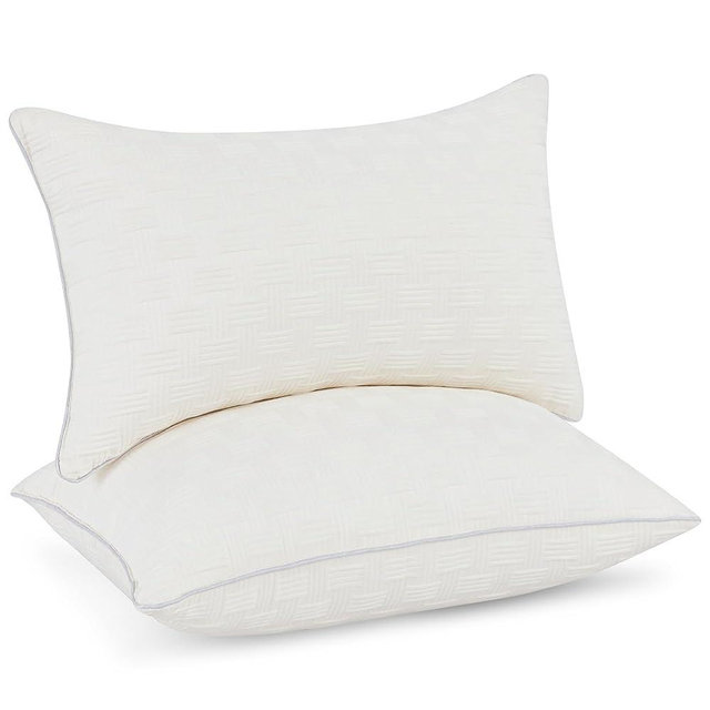 Leeden 12x20 Pillow Insert Set of 2 - Firm and Fluffy Lumbar Pillow Inserts, Rectangle Interior Sofa Pillow Inserts, Decorative Pillow Insert Pair - Beige Couch Pillow