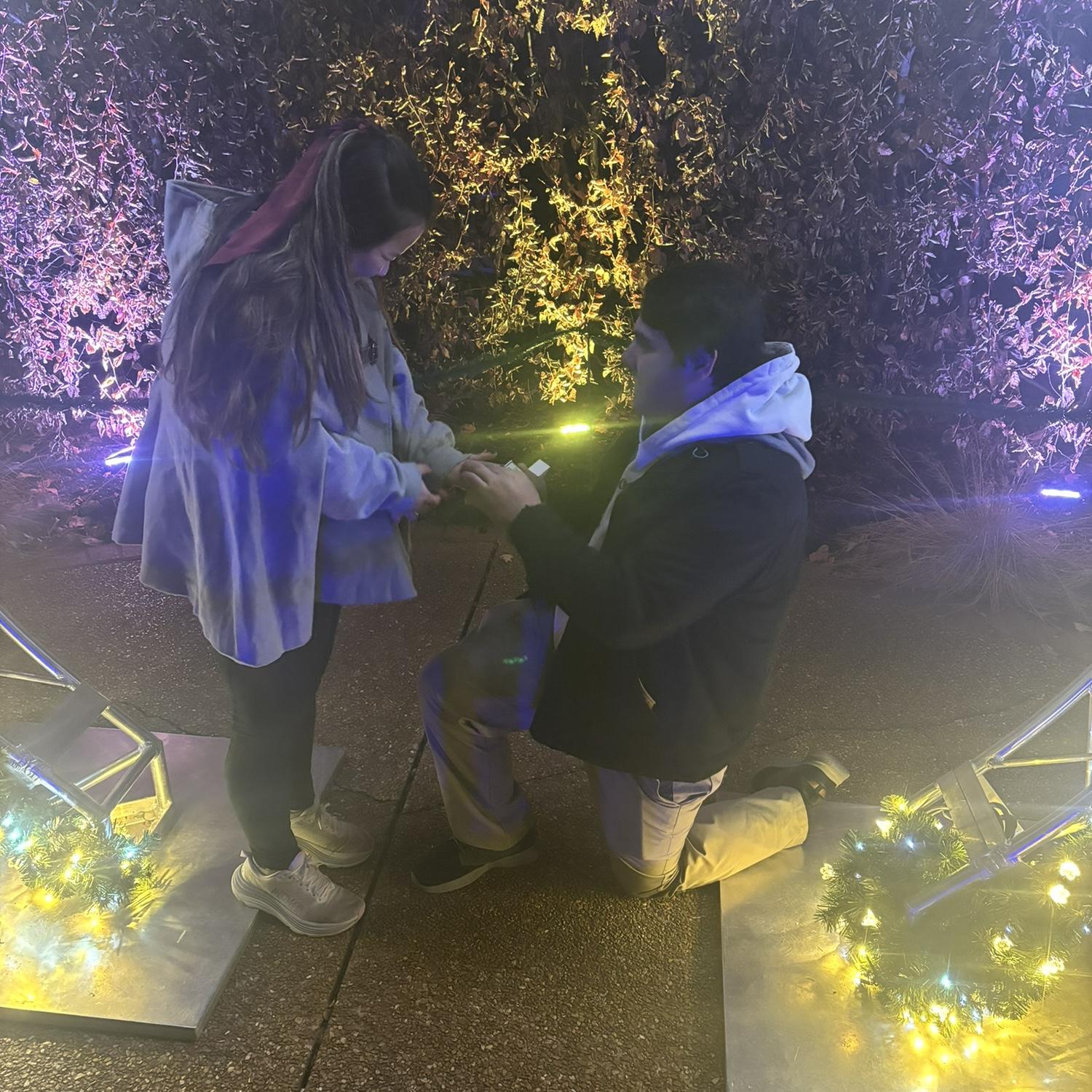 Another tradition to us is going to the Botanical Gardens every winter to see the Garden Glow, hence why it was the perfect place for Anthony to propose.