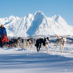 Honeymoon Excursion - Dog Sledding