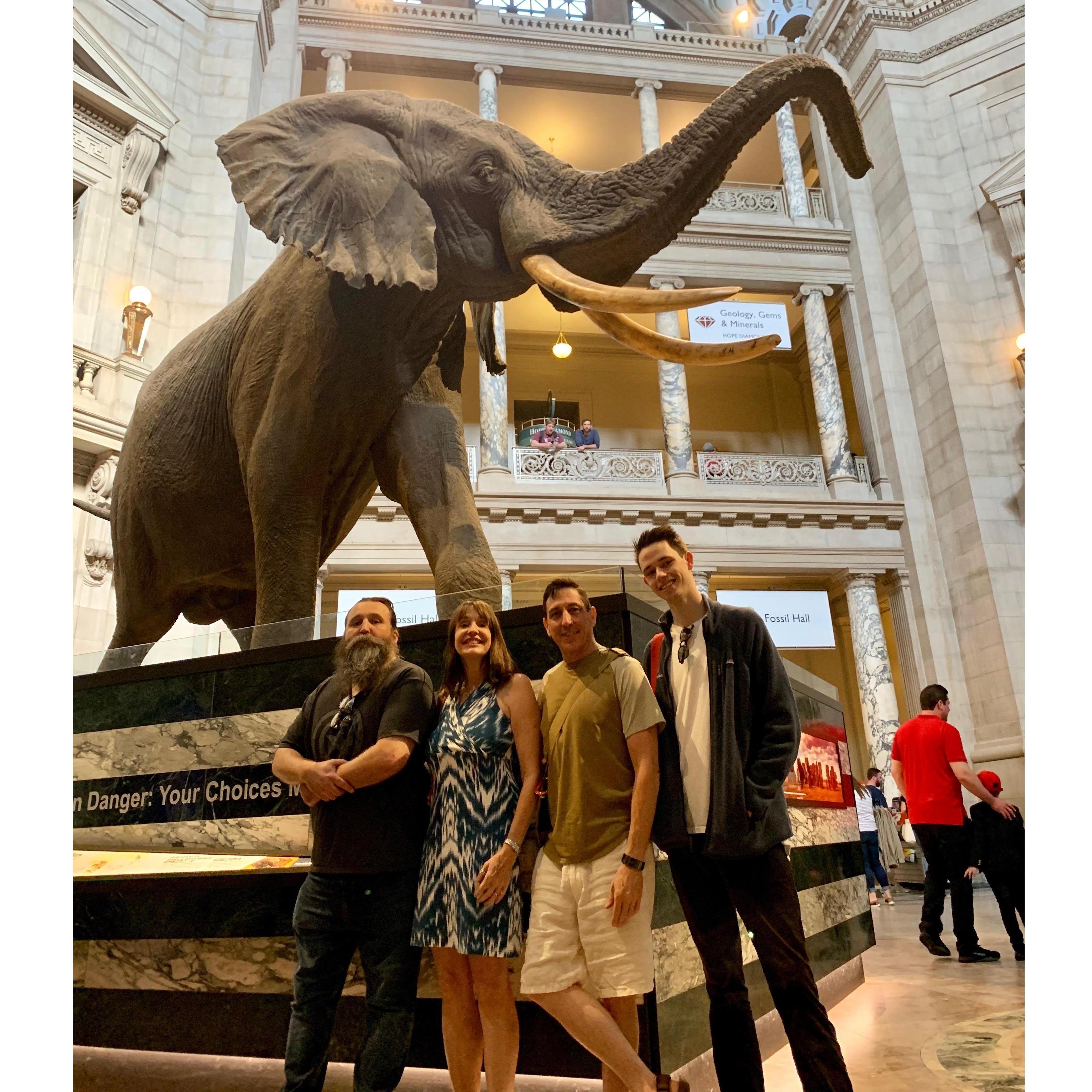 ... at the Smithsonian w/ Morgan & Tad '19