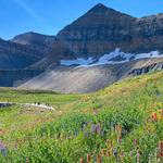 Mount Timpanogos