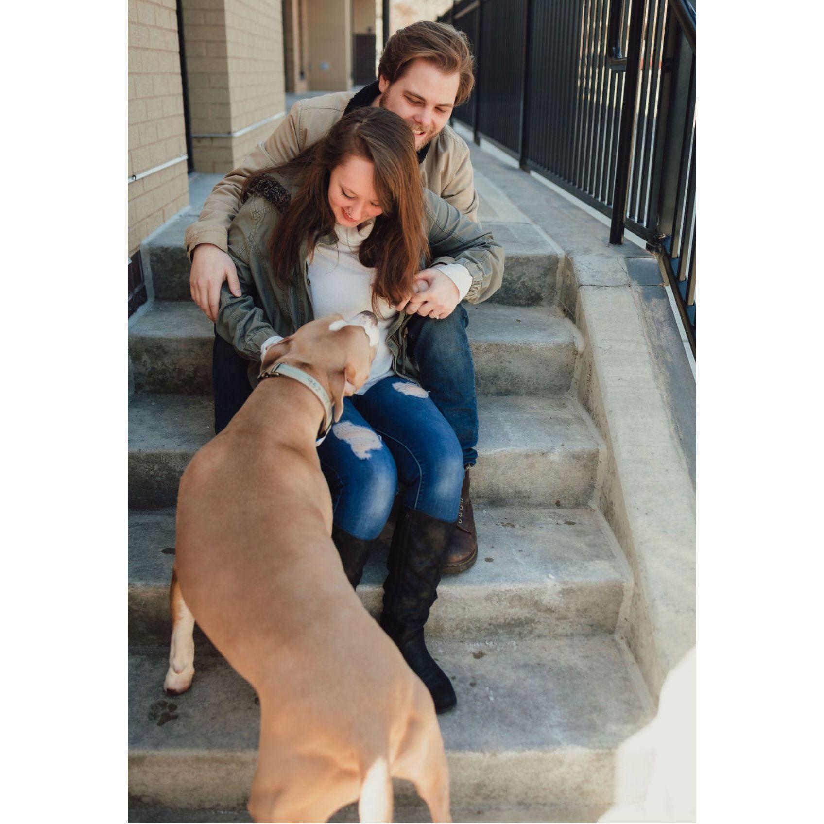 We got photobombed by a neighborhood dog during one of our engagement sessions and both of us were very excited about it; we love dogs!