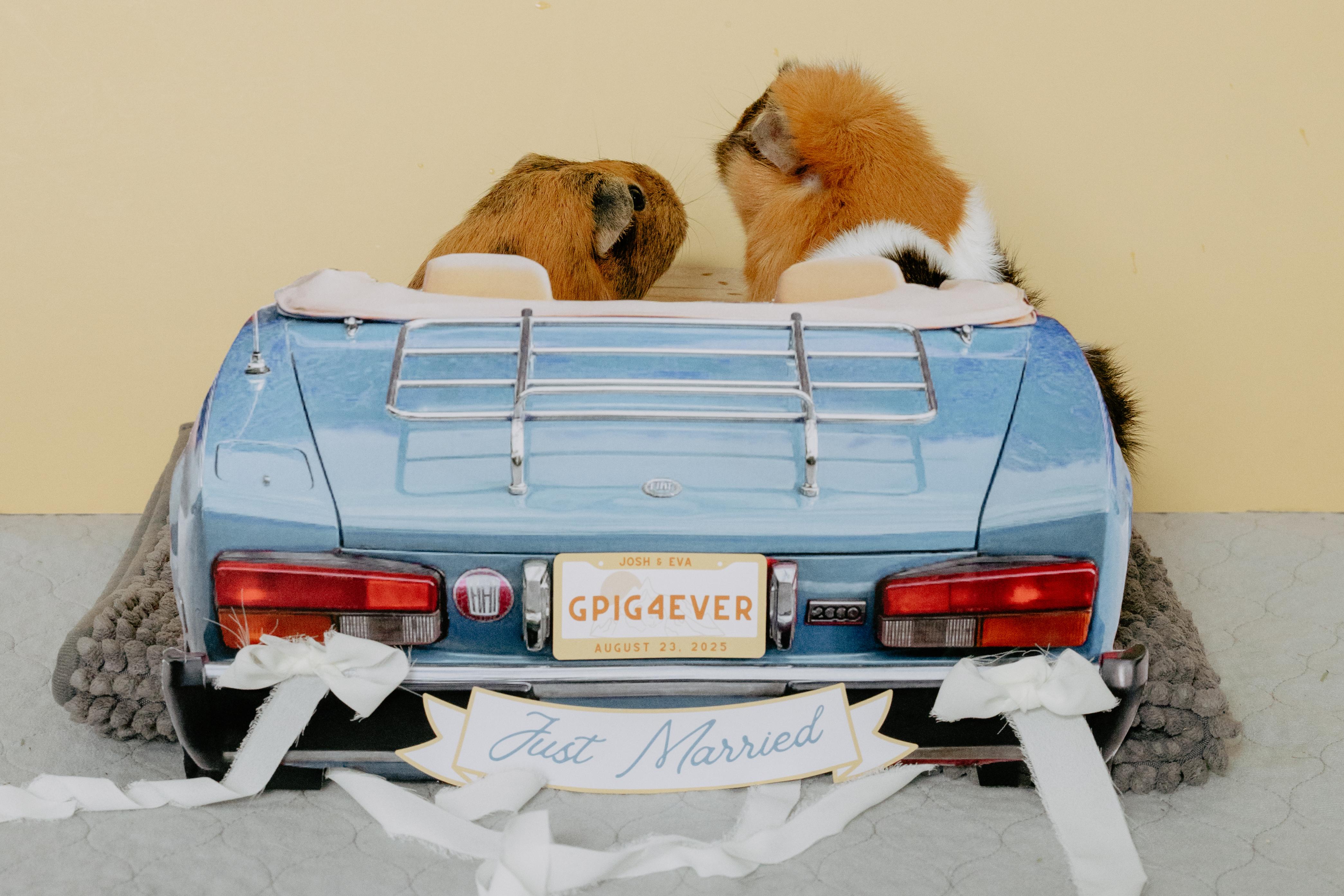 The Wedding Website of Eva Waltz and Josh Greenwalt