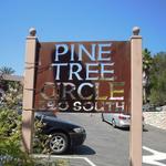 Pine Tree Circle