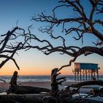 Hunting Island State Park
