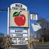 Rice Fruit Farm