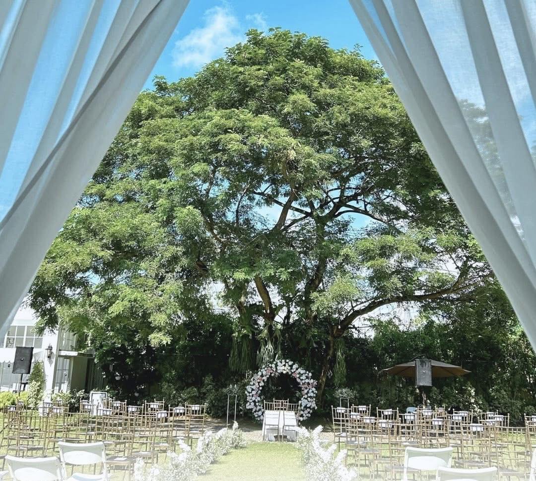 The Wedding Website of Donald Bradley and Nicole Gascon
