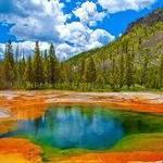 Visit Yellowstone