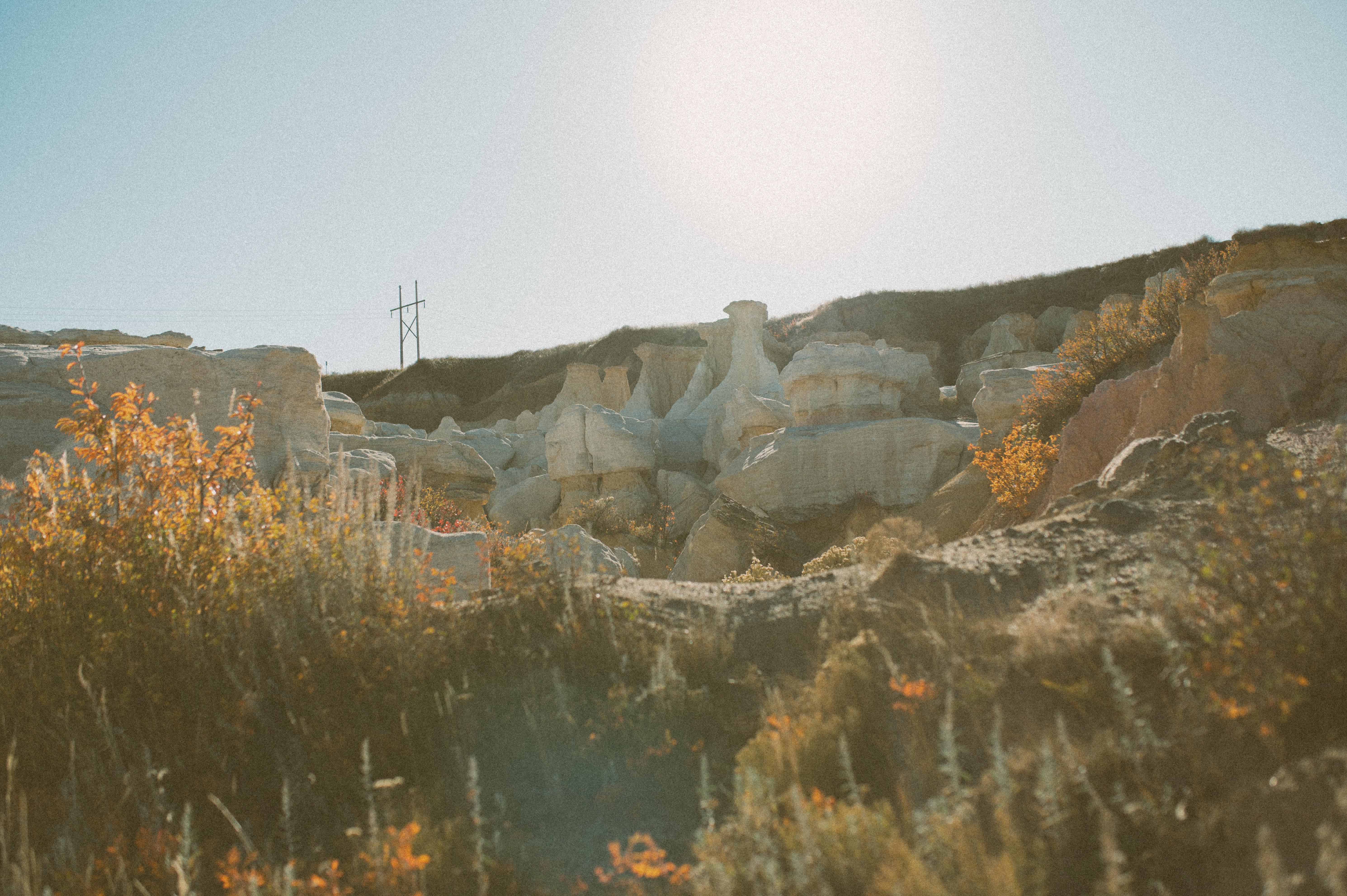 The Wedding Website of Addison Wofford and Logan Ingles