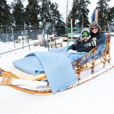Dog sledding in Aspen