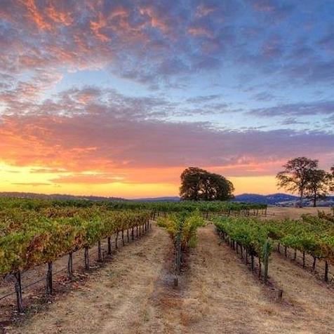 Wine Tasting in Grass Valley, CA