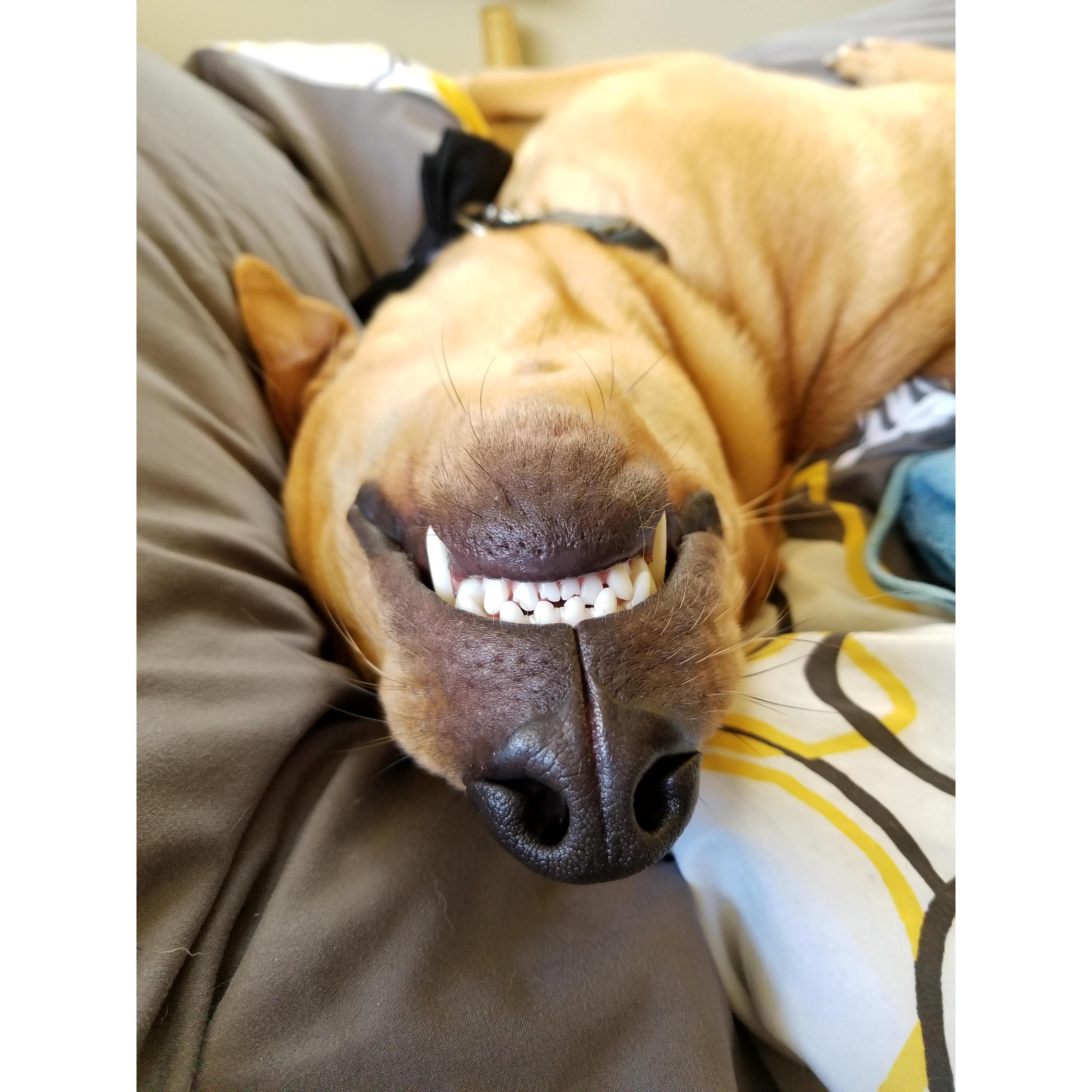 Watson