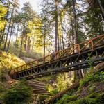 Pfeiffer Falls Trailhead