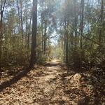Lake Houston Wilderness Park