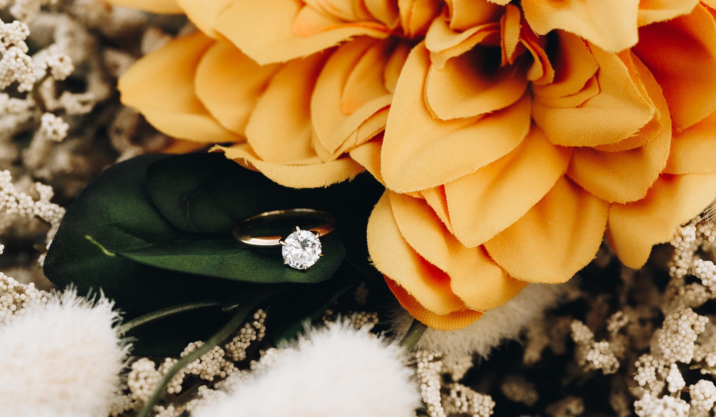 The Wedding Website of Brandy Jayne and Christopher Mayfield