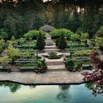 Sarah P. Duke Gardens