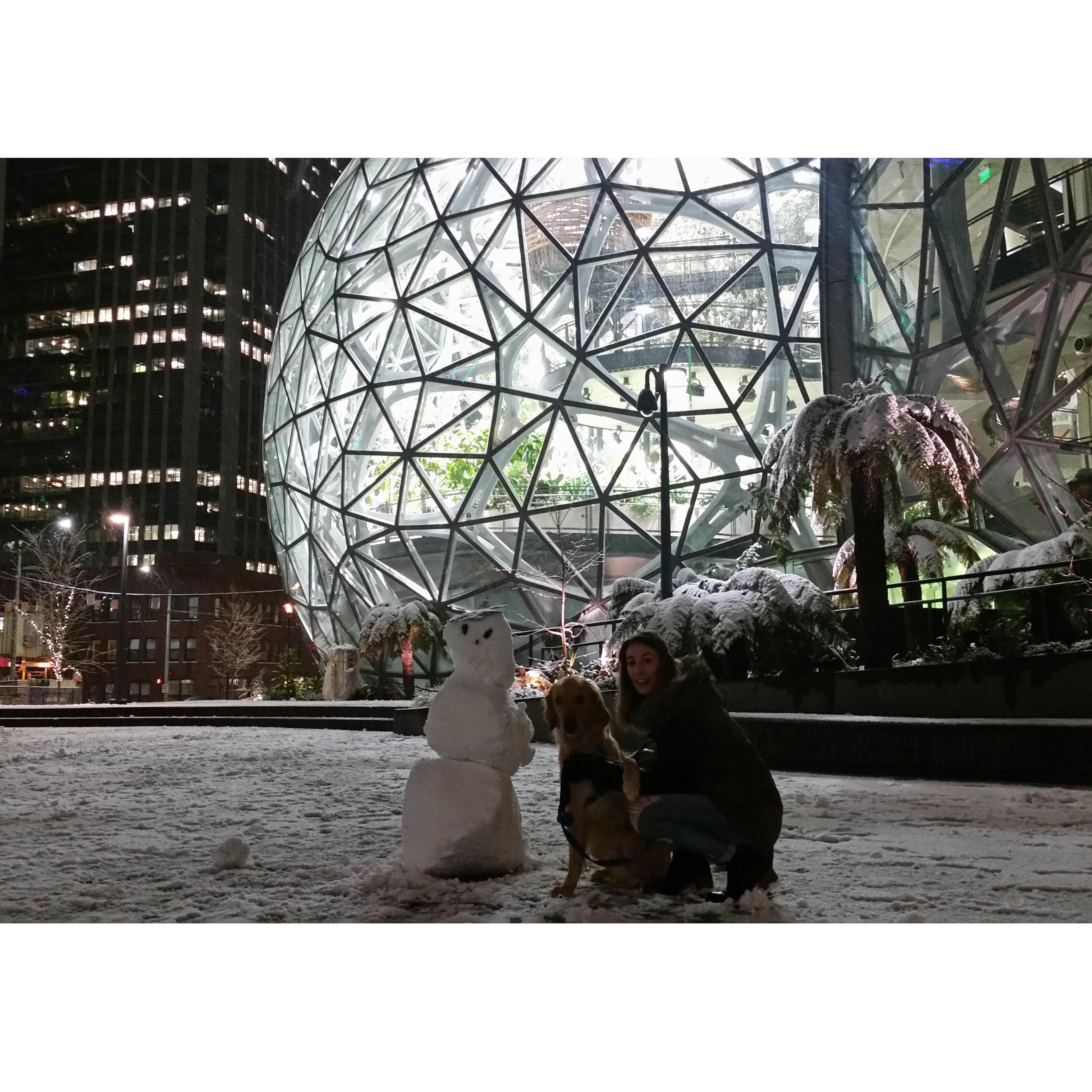 It snowed on Christmas in Seattle. 
Picture taken outside Amazon Biospheres.