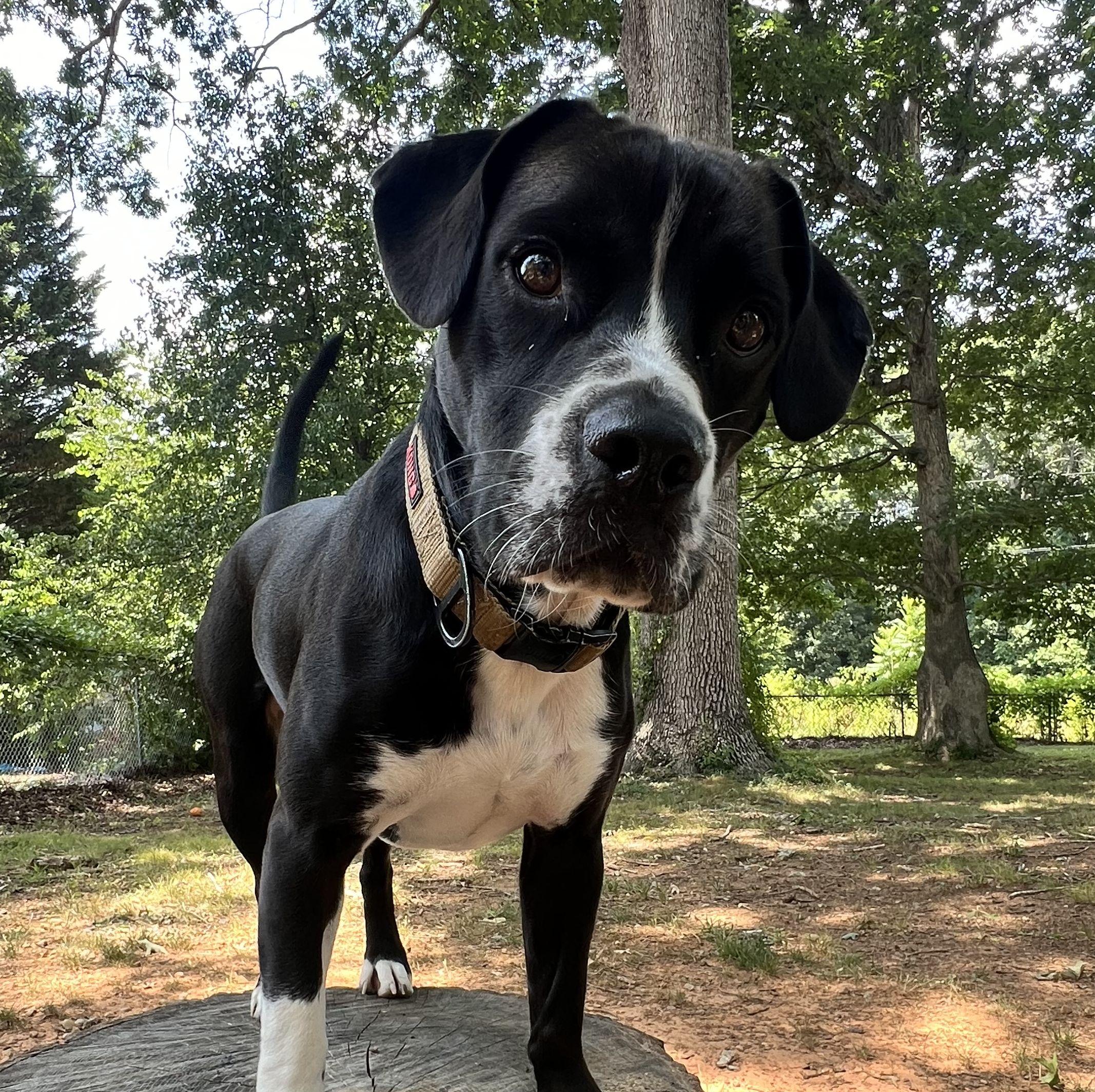 The Wedding Website of Carolyn Dykstra and Jeff Gordon