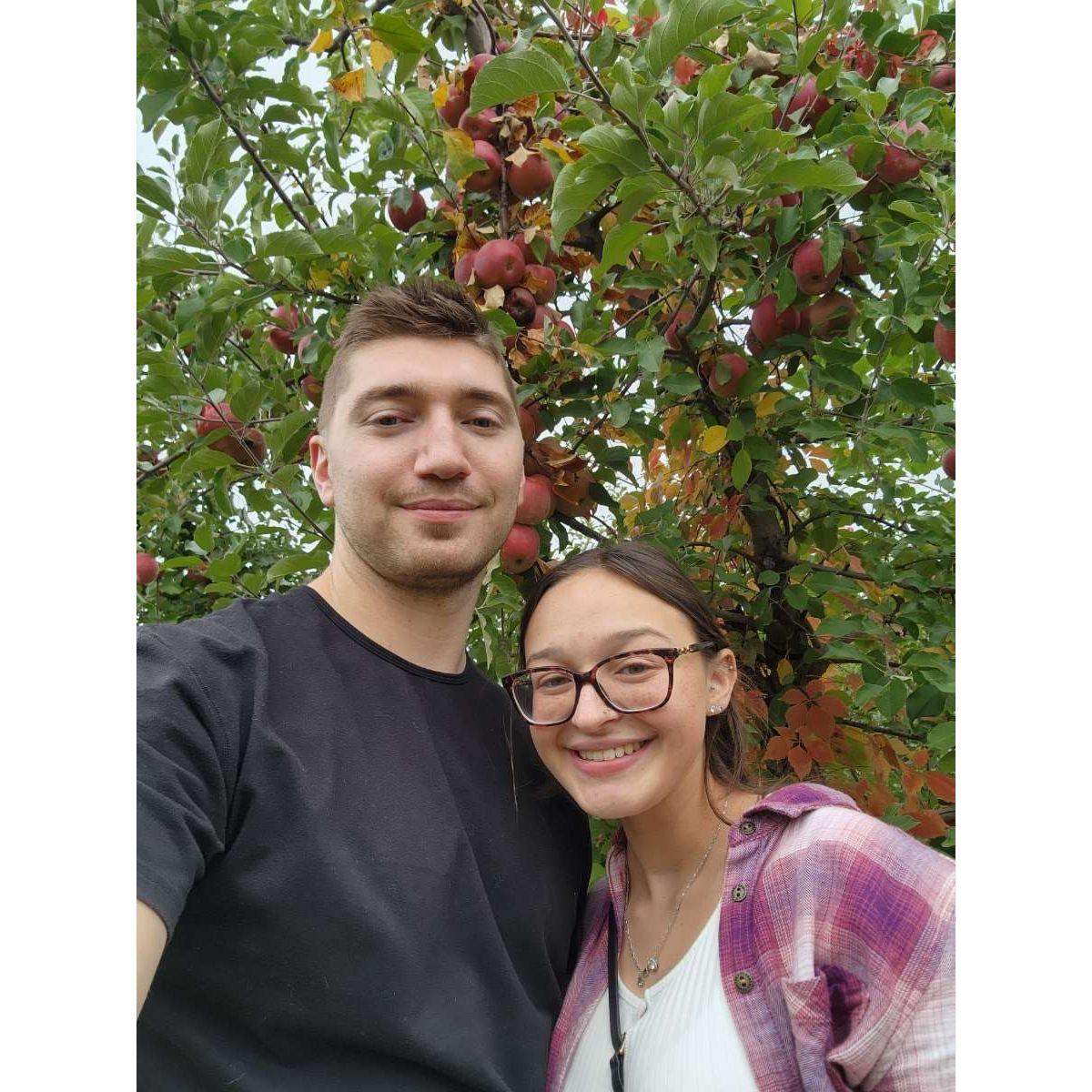Our first time apple picking.
