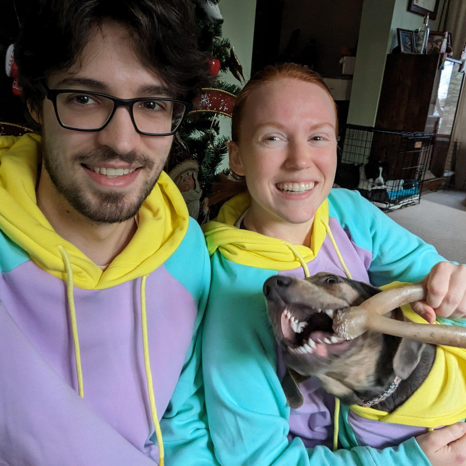 Mako's first Christmas 2022