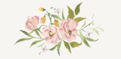 The Wedding Website of Anna Carl and William Morris