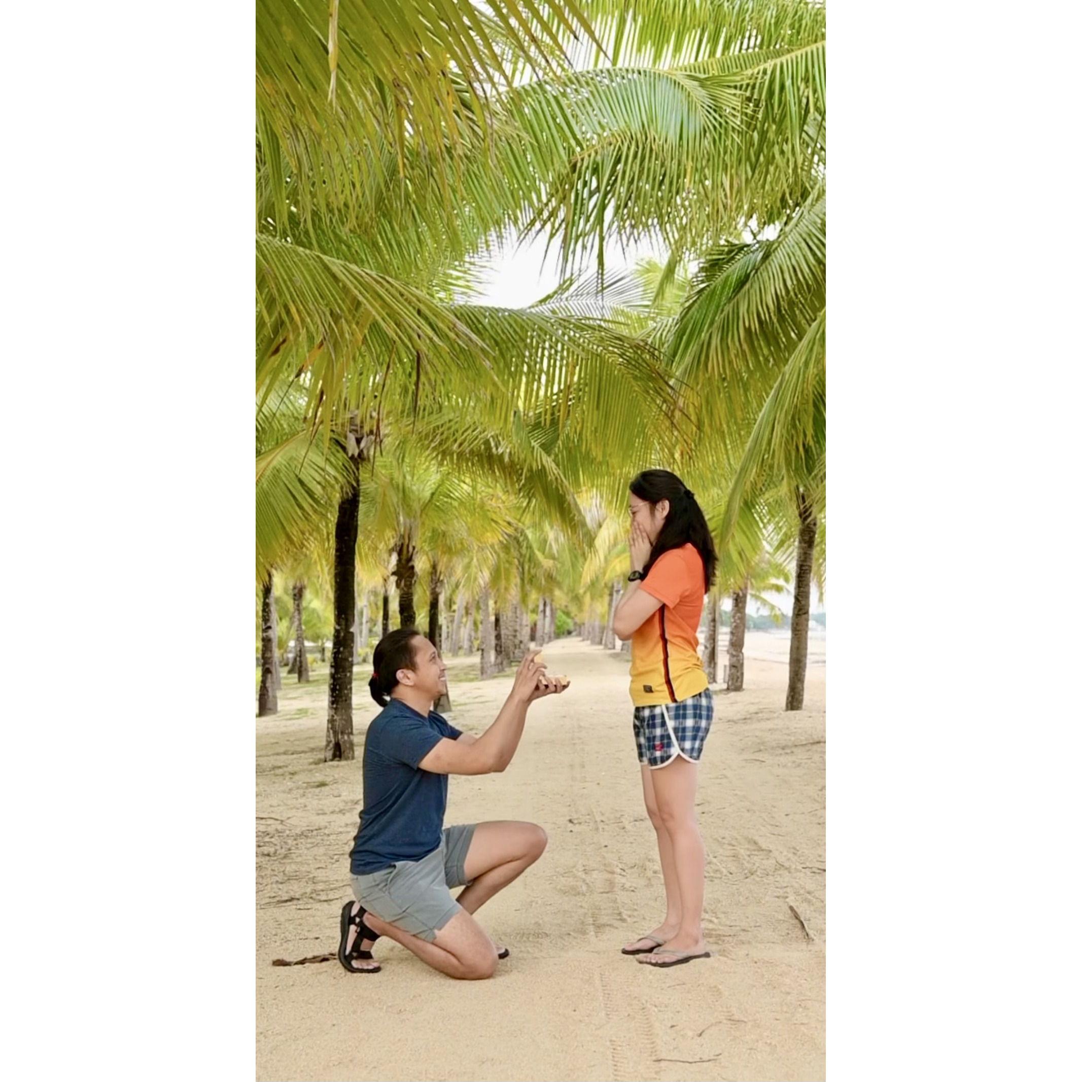 The Proposal: November 17, 2024