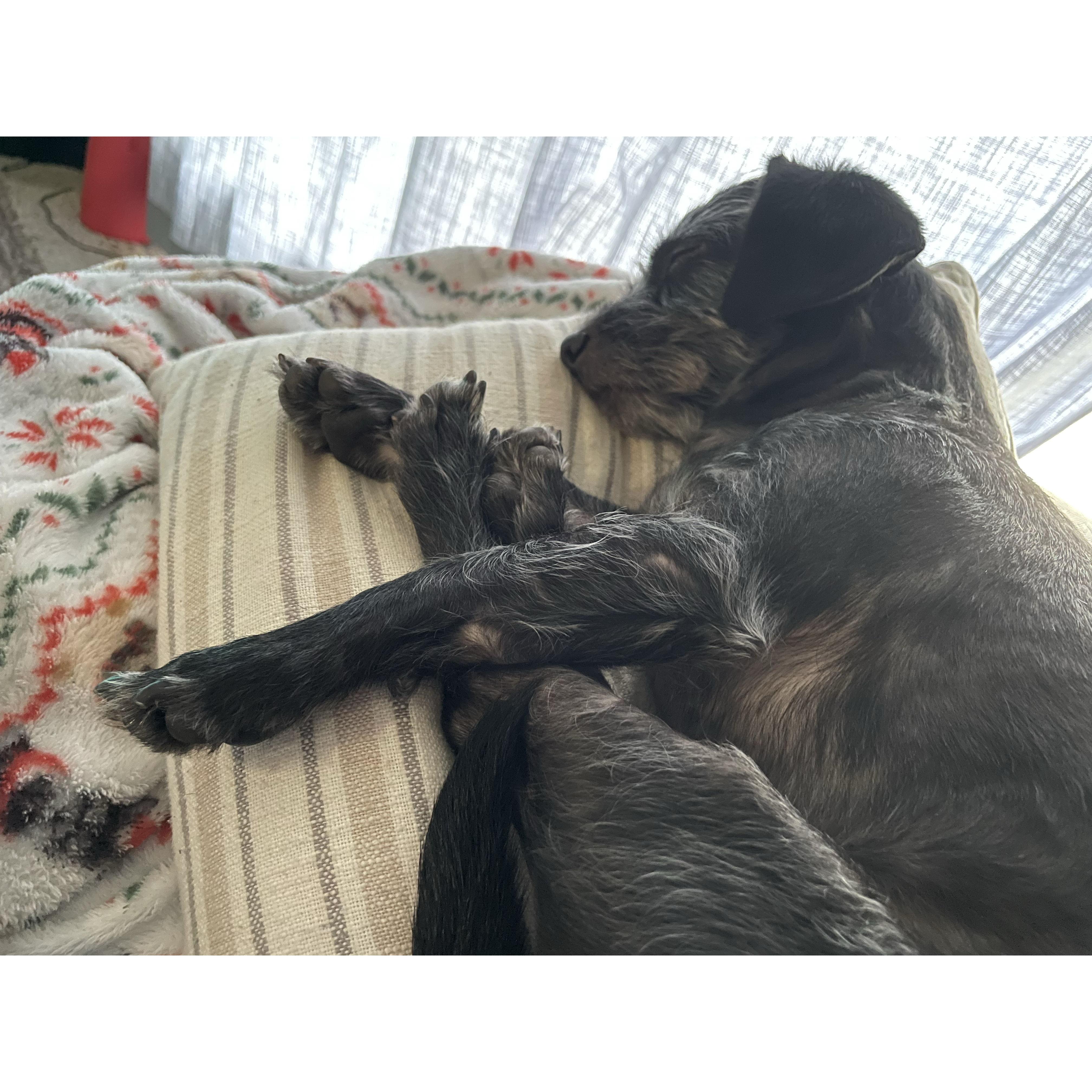 Henry's Ode to Sleep Part 1.