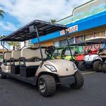 Paradise Fun Rentals - Golf Cart, Slingshot & Bicycle Rentals SPI (B)