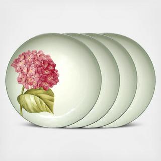 Colorwave Accent Plate, Set of 4