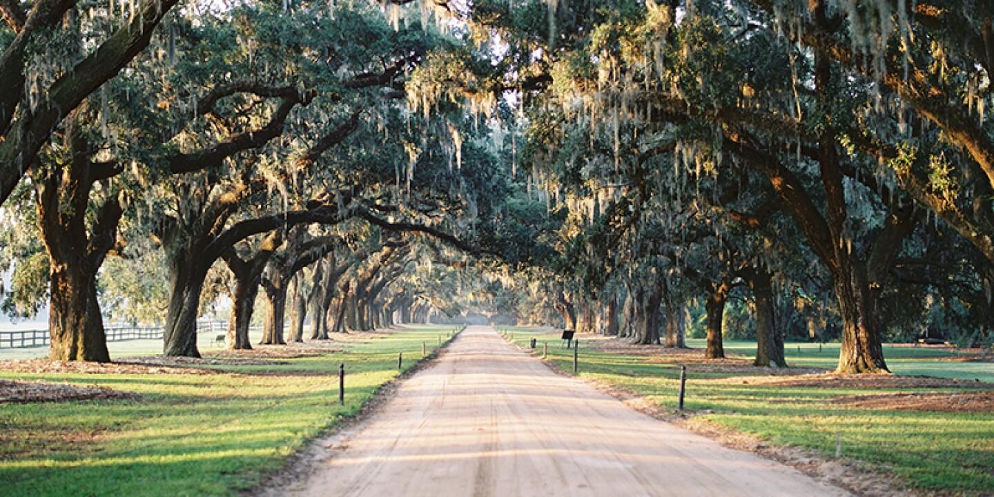 e3035e00-464b-4c3d-bfbe-18d48013d823