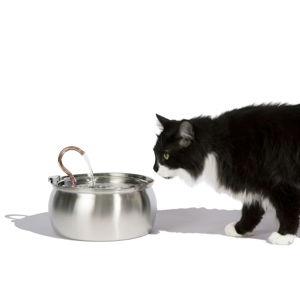 The KittySpout™