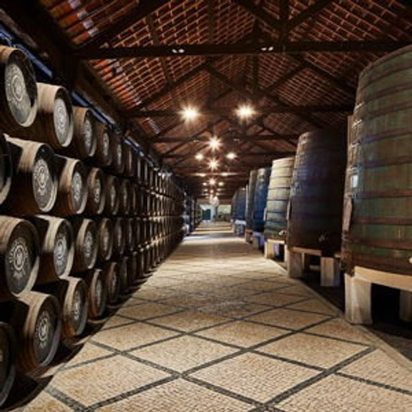 Cockburn's Cellar Tour and Tasting in Porto