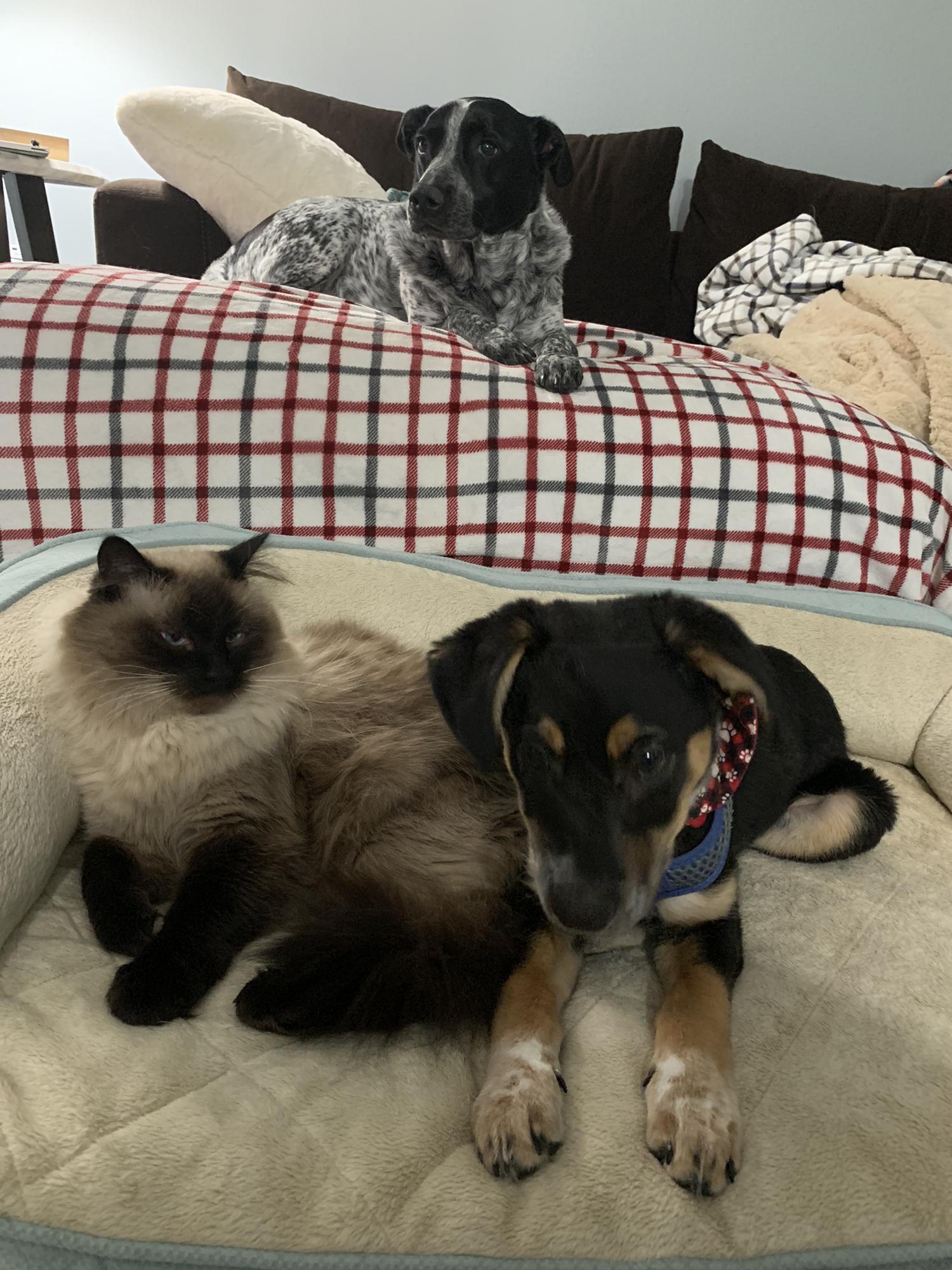 The whole gang hanging out! ❤️