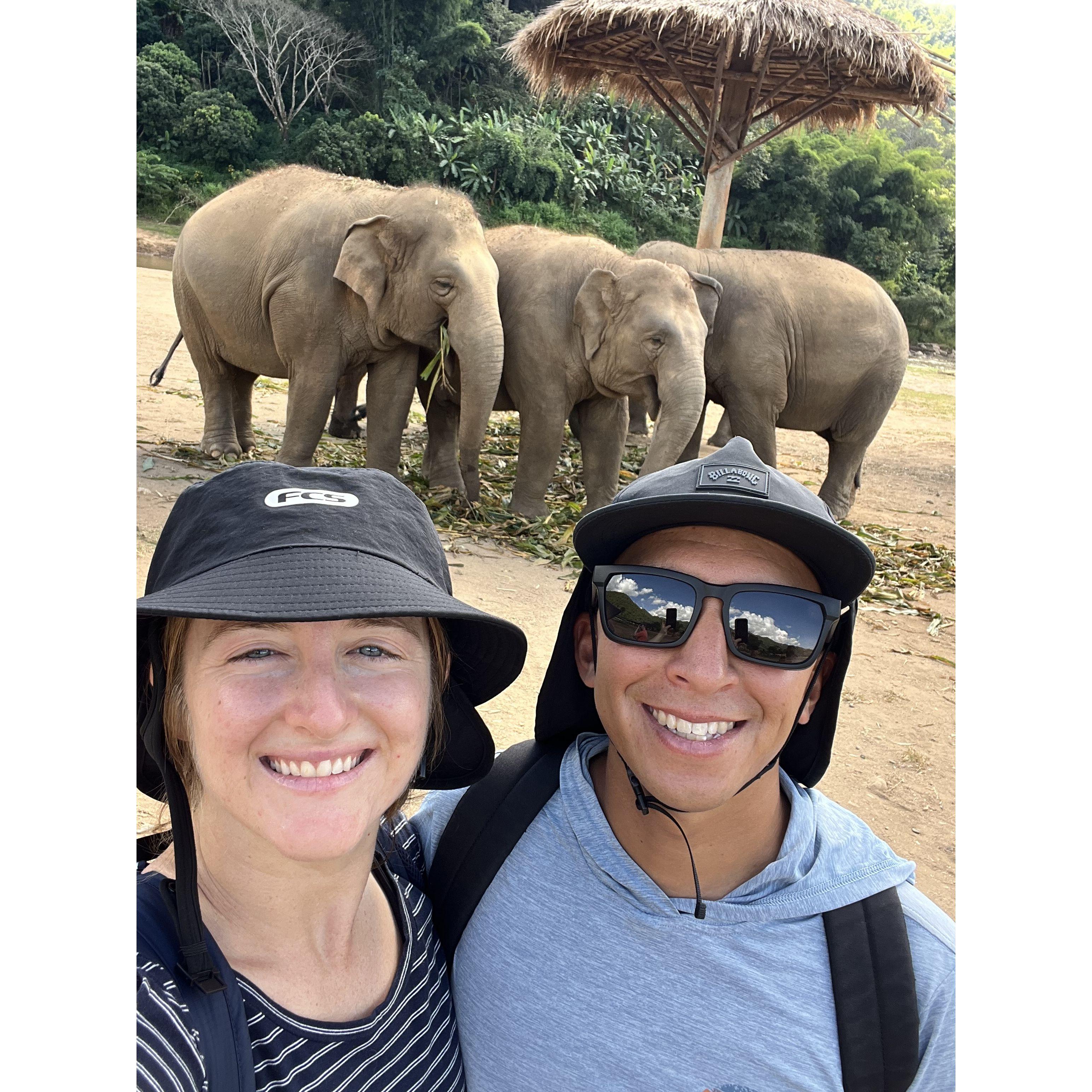Hanging out with Elephants | Thailand