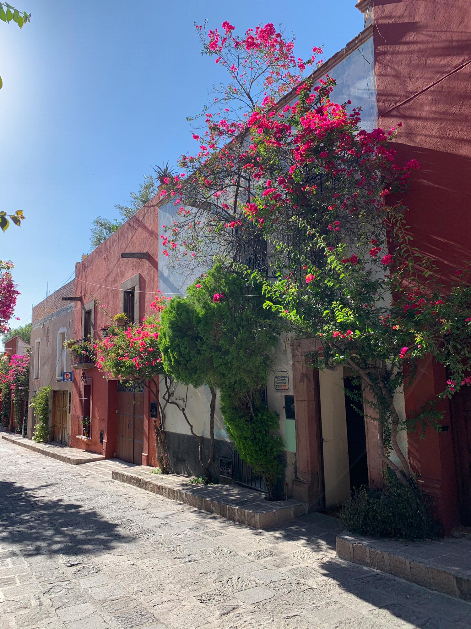 Every street in San Miguel is a work of art.