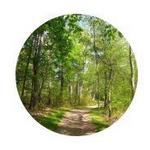 Bradley Palmer State Park