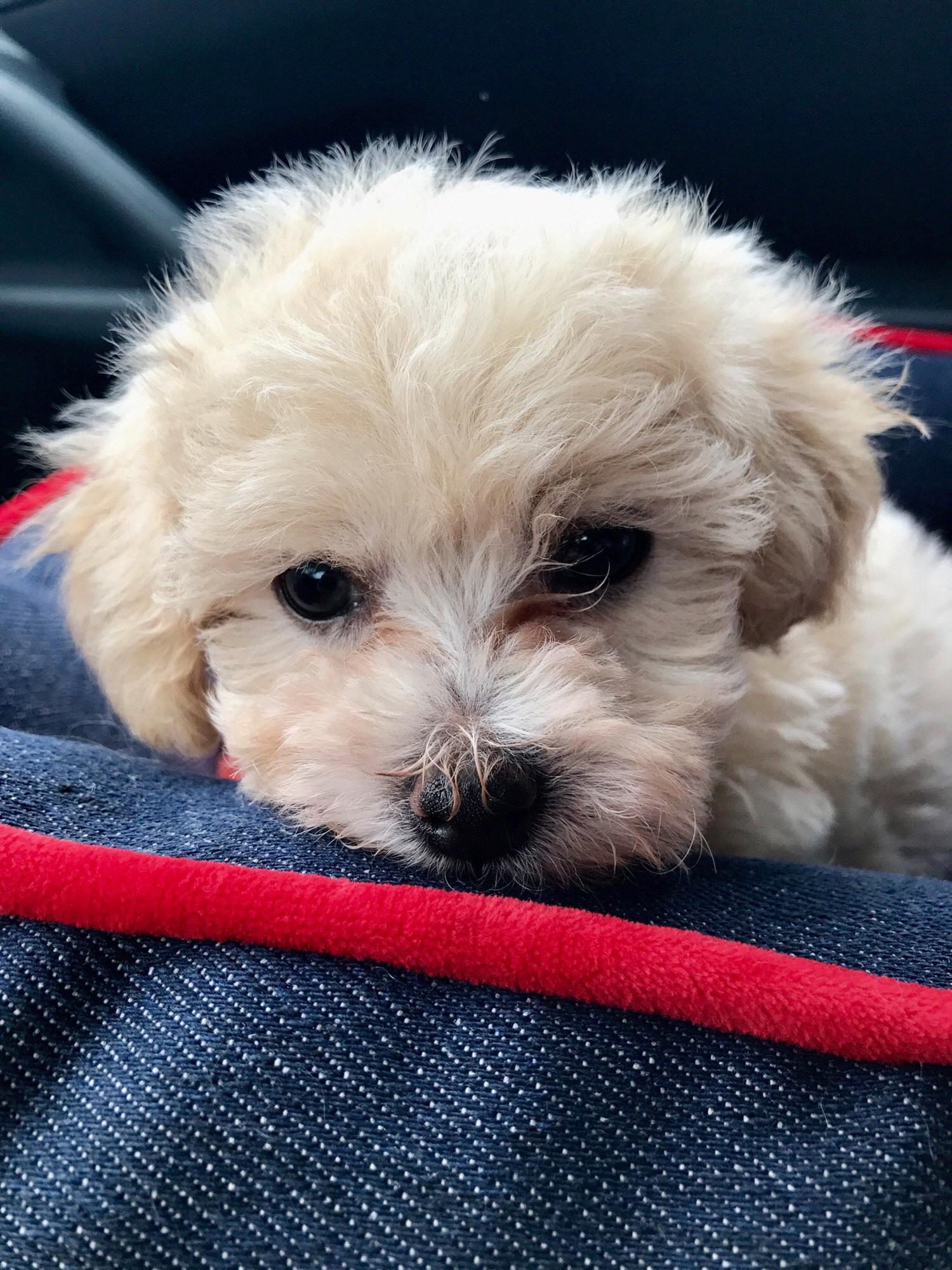 Our first bundle of joy