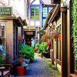 Carmel-by-the-Sea — More to Eat & Drink
