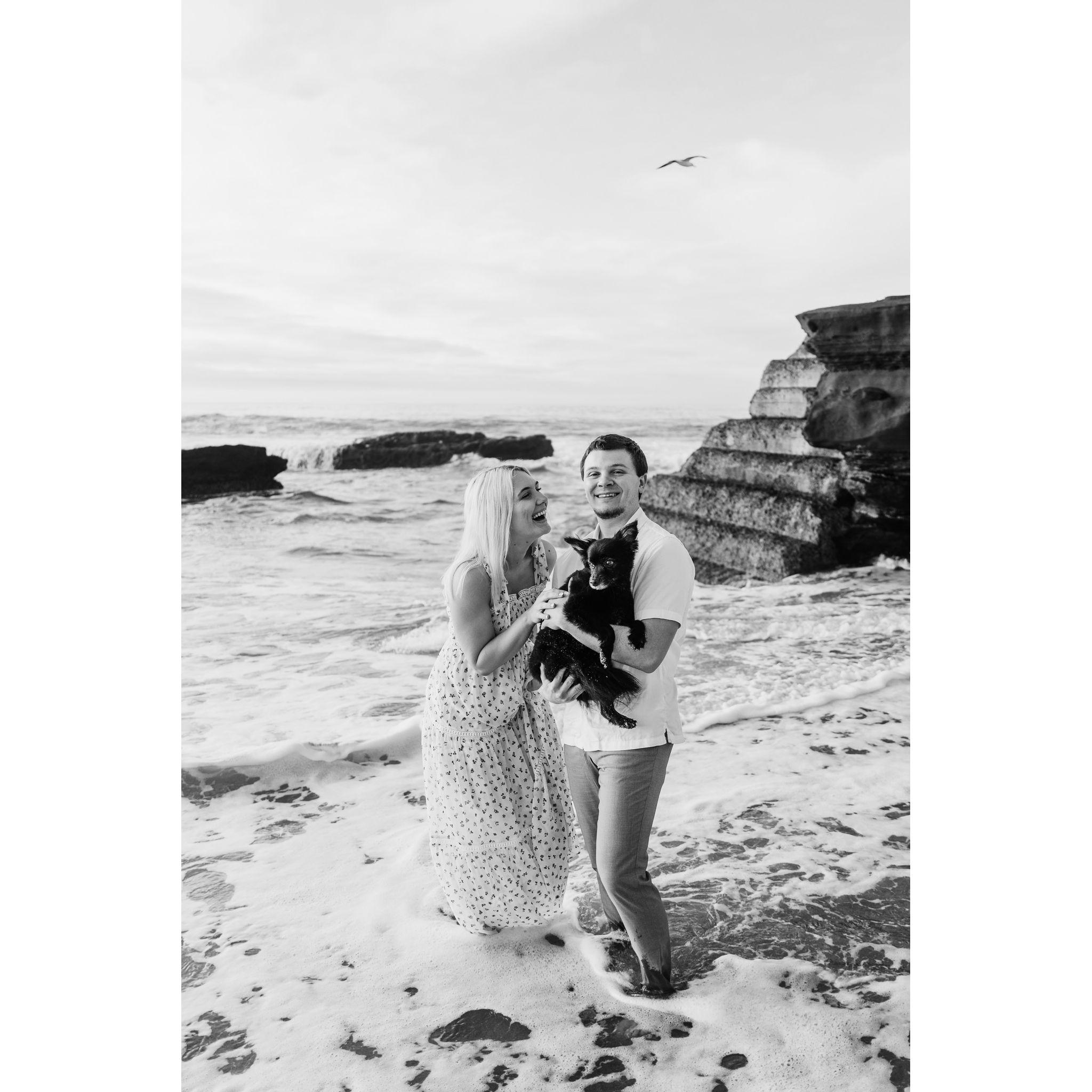 Photoshoot on the beach in La Jolla, California December 2022