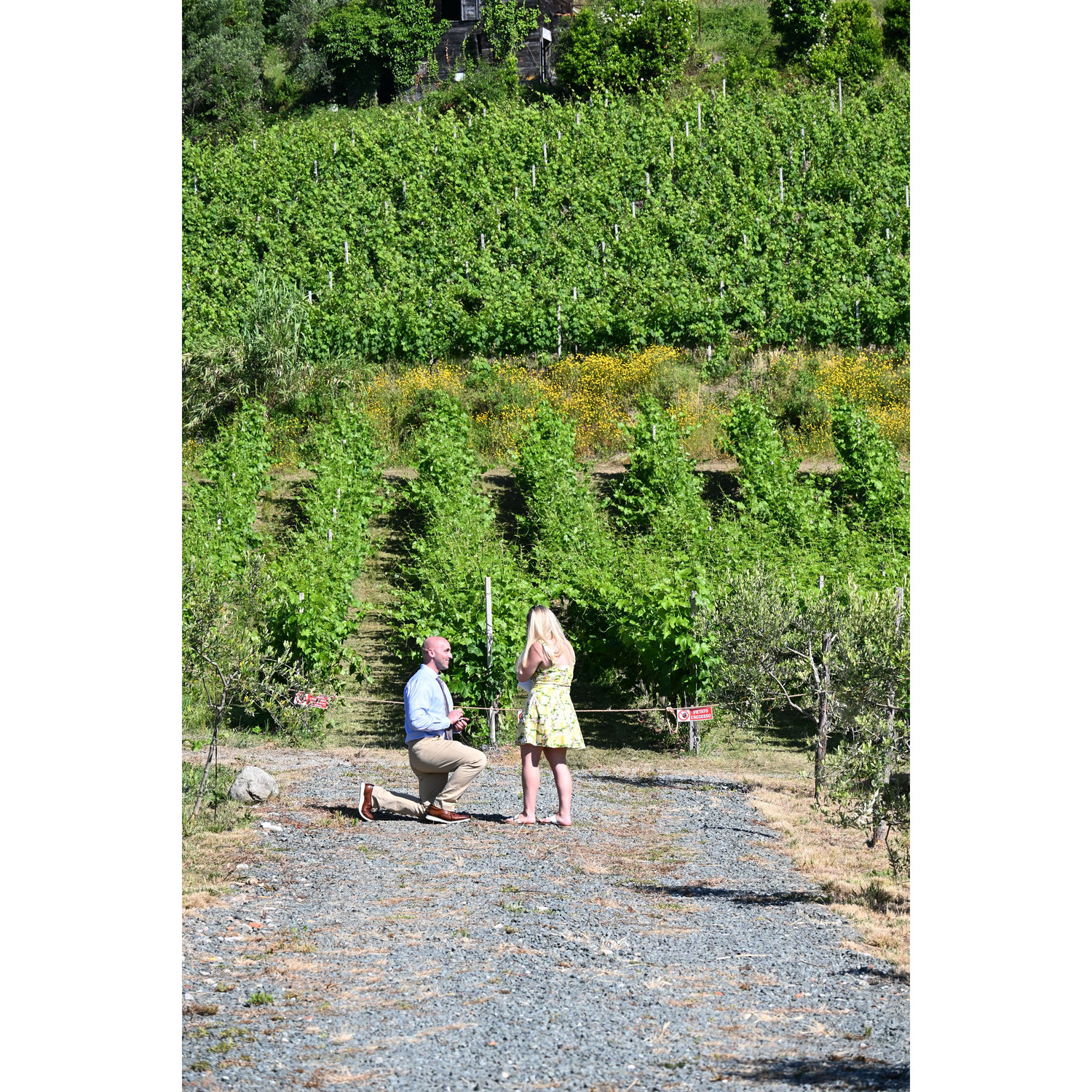 The moment she said "YES!"