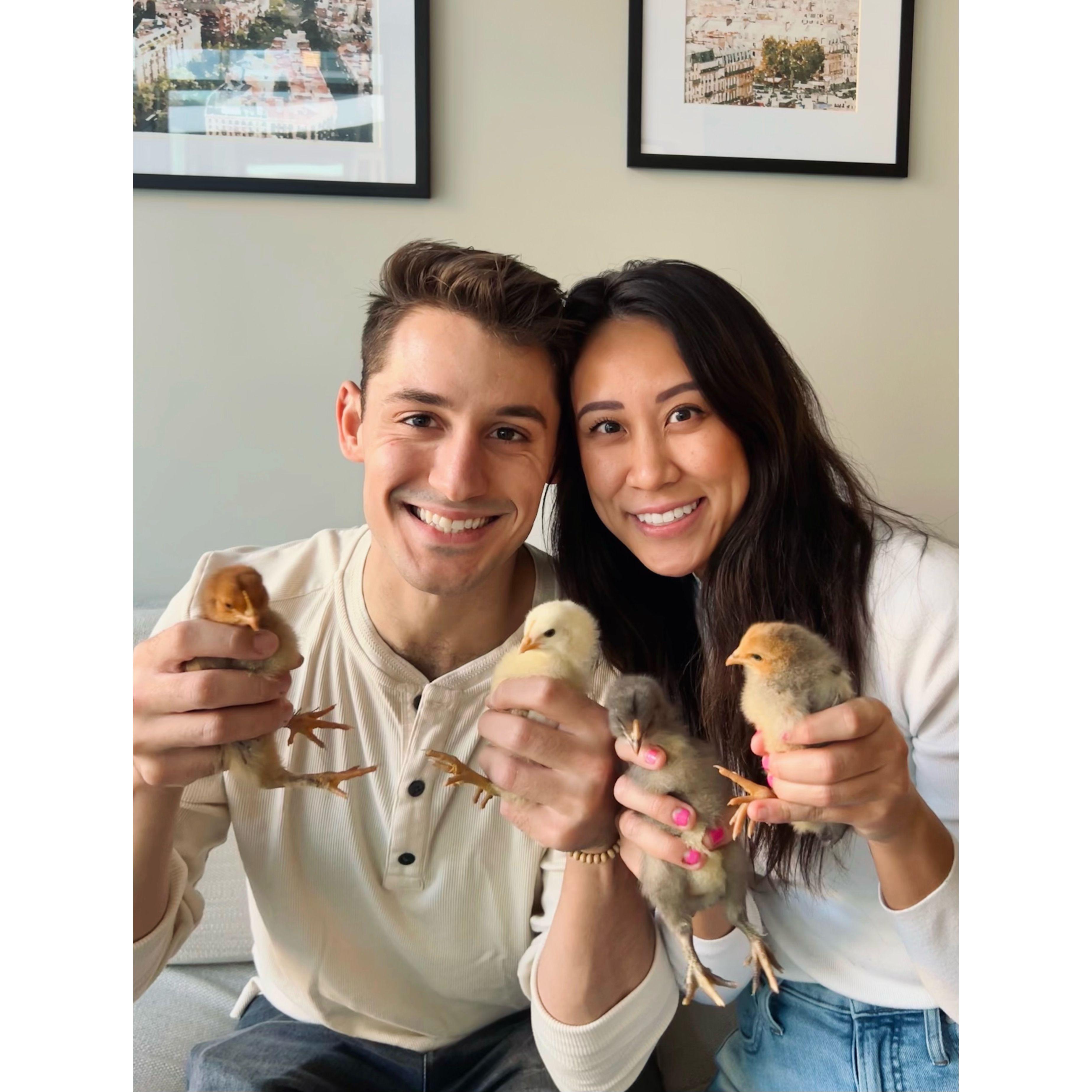 Our little babies - seeing our chicks hatch was one of our most favorite experiences, hands down